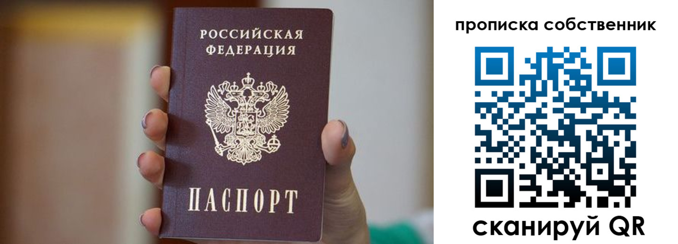 прописка поиск в Пушкино